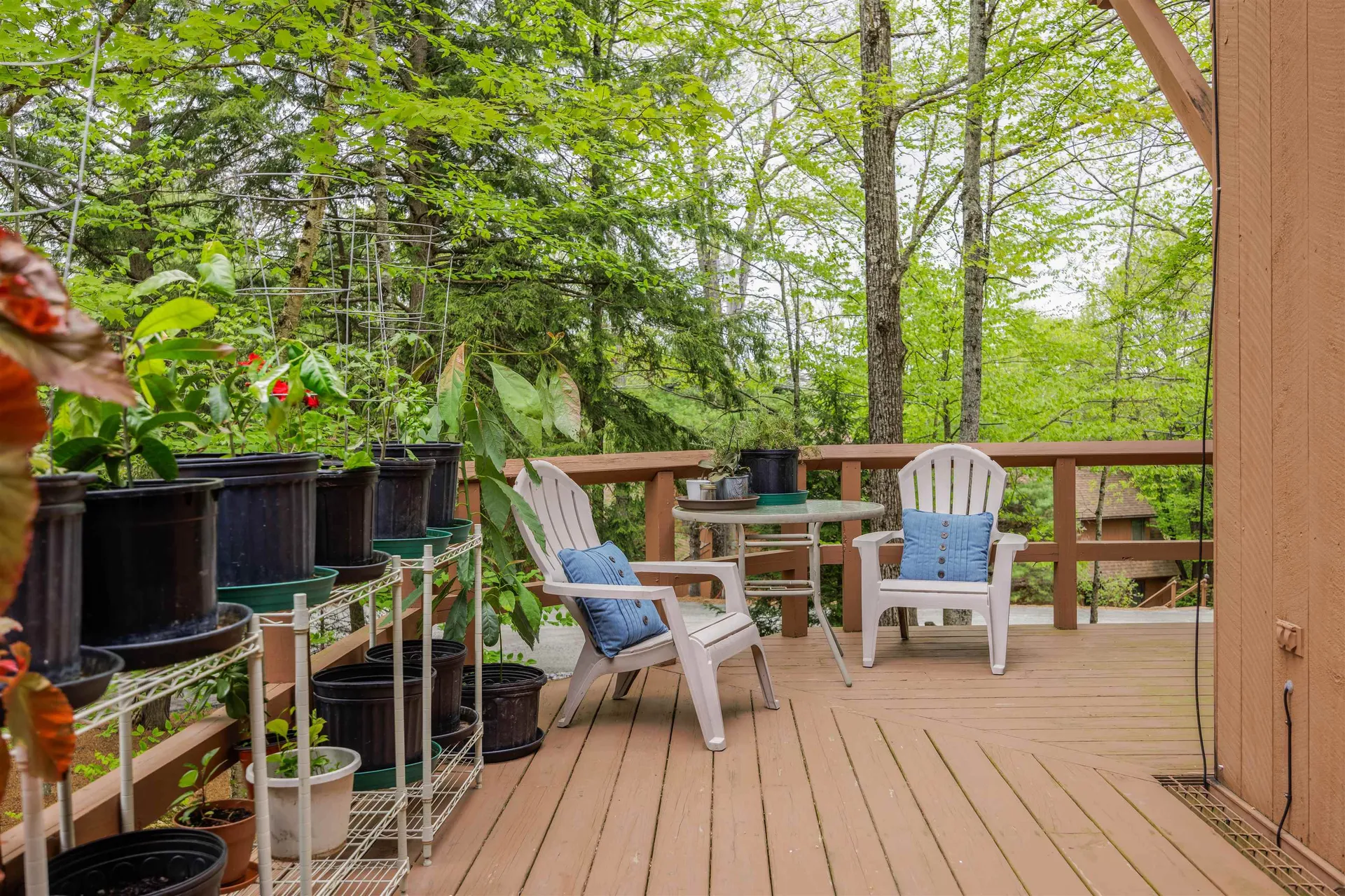 841 Cove Drive Grantham NH 03753