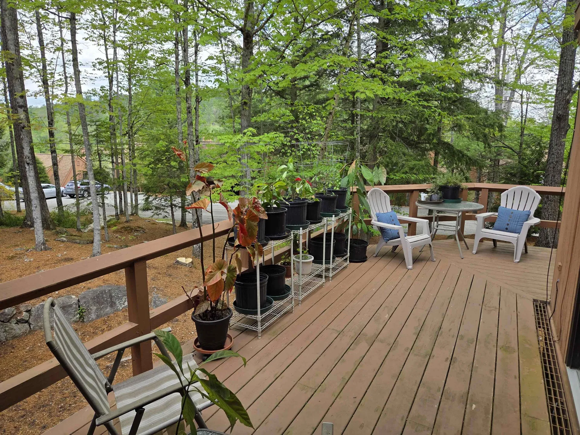 841 Cove Drive Grantham NH 03753