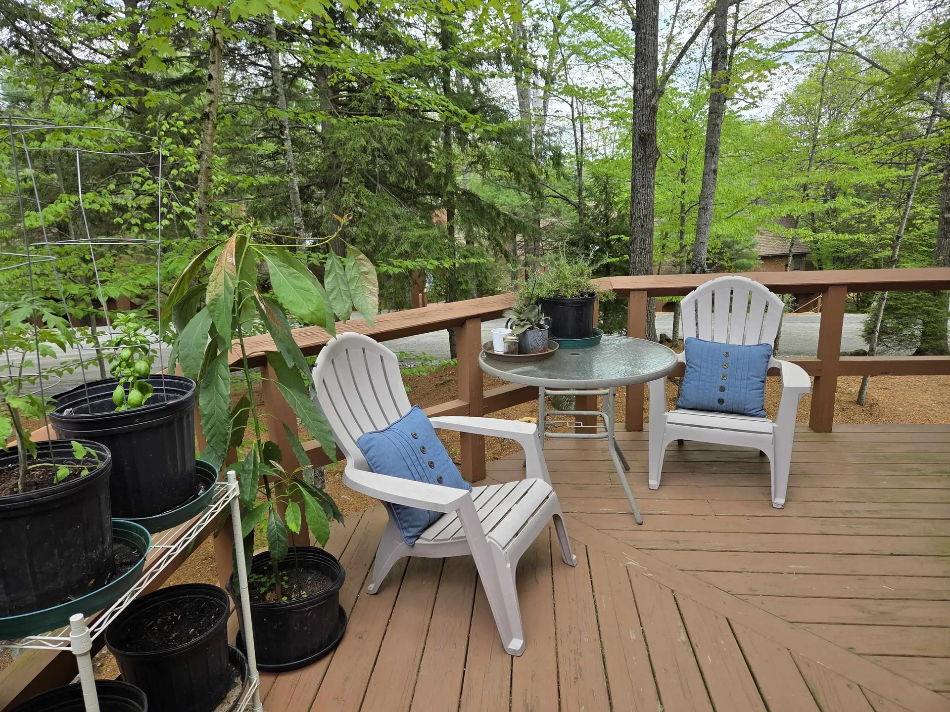 841 Cove Drive Grantham NH 03753
