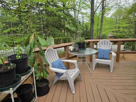 841 Cove Drive Grantham NH 03753