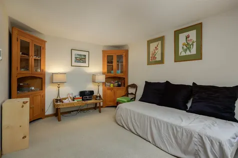 841 Cove Drive Grantham NH 03753