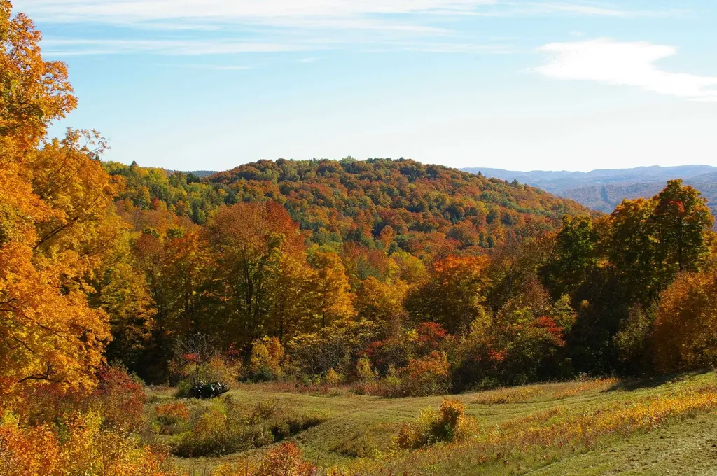 89 Jordan Road Strafford VT 05072