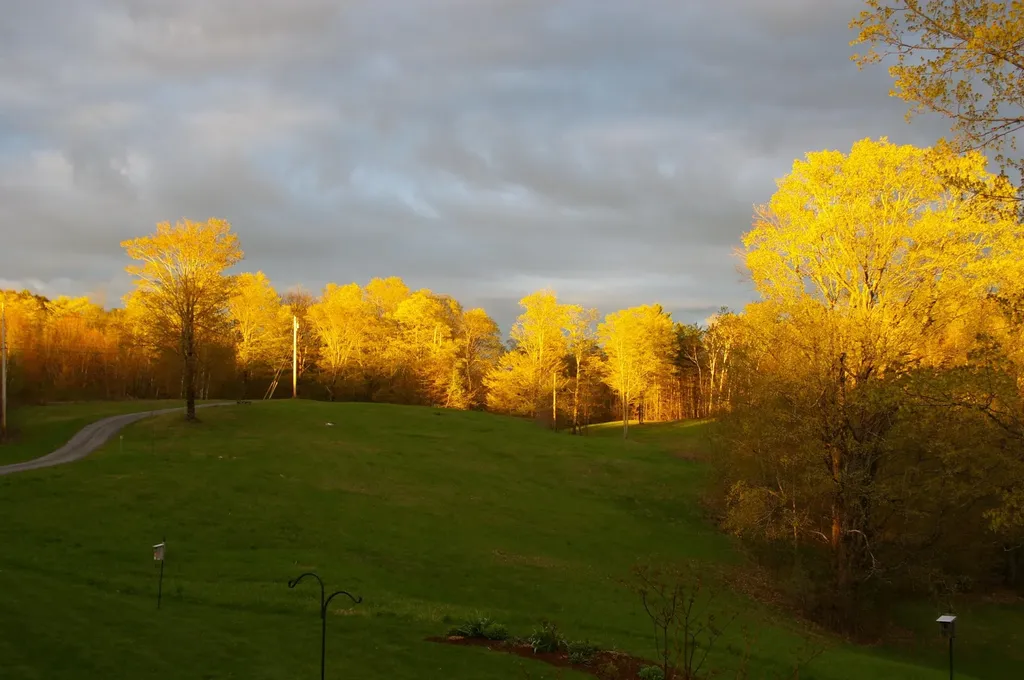 89 Jordan Road Strafford VT 05072