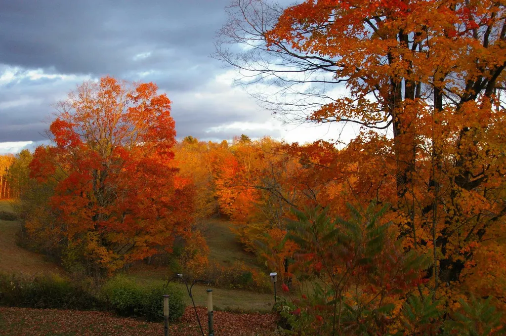 89 Jordan Road Strafford VT 05072