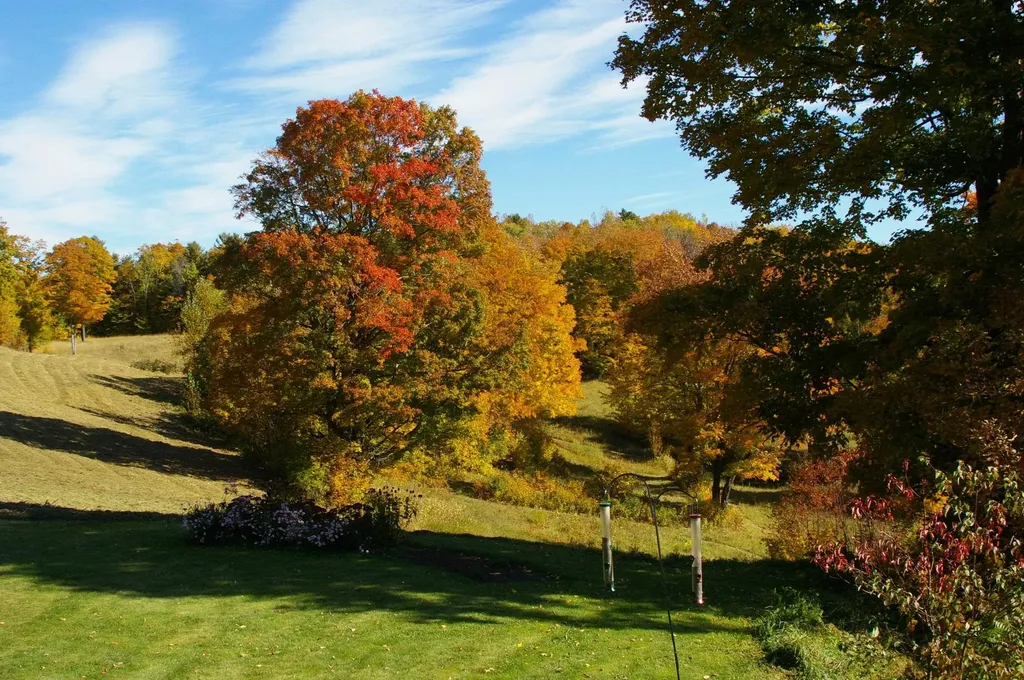 89 Jordan Road Strafford VT 05072