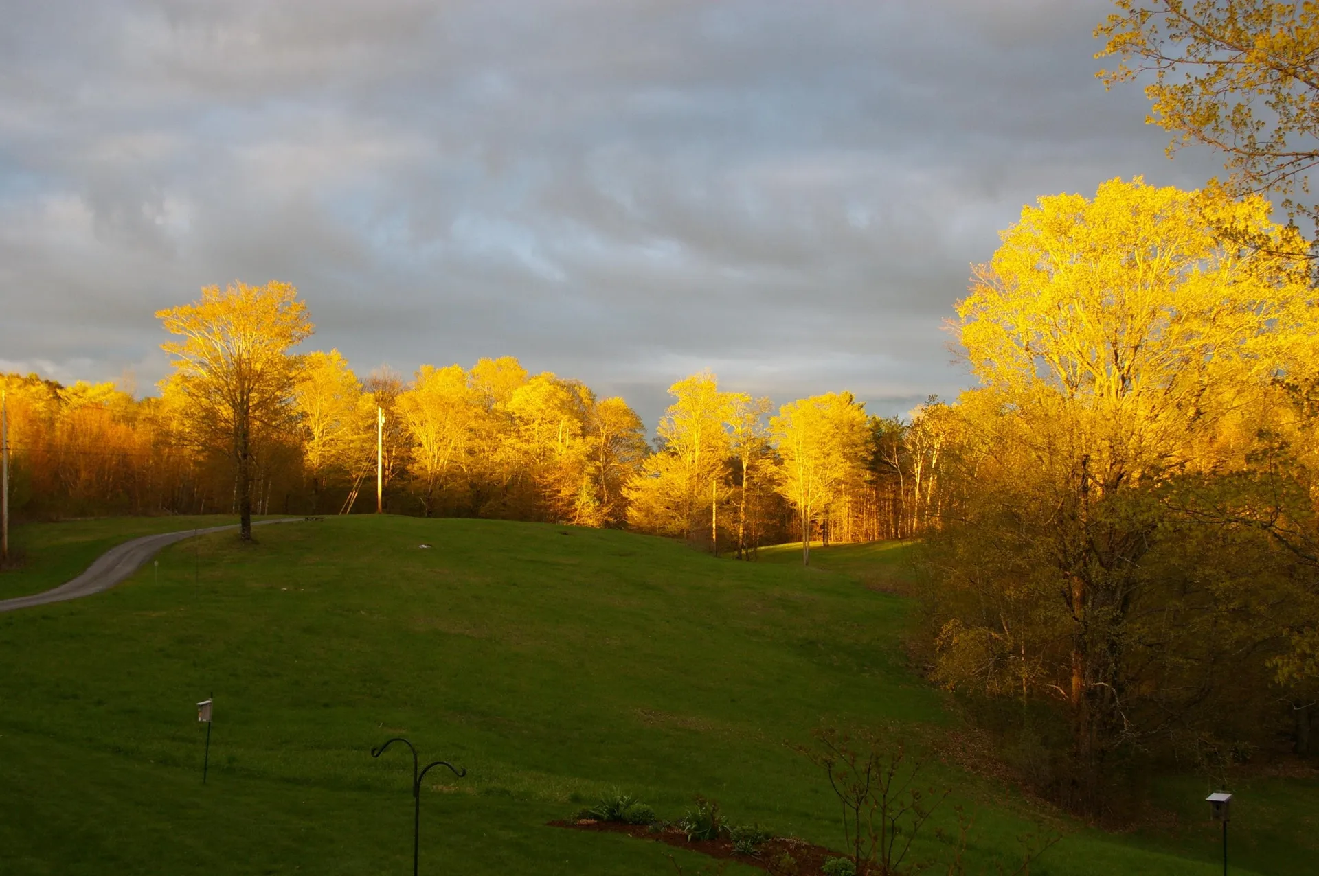 89 Jordan Road Strafford VT 05072