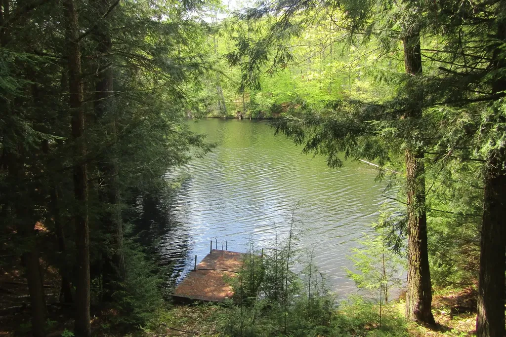 80 Blackberry Drive Lyman NH 03585