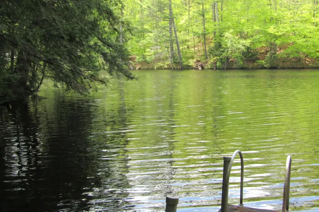 80 Blackberry Drive Lyman NH 03585