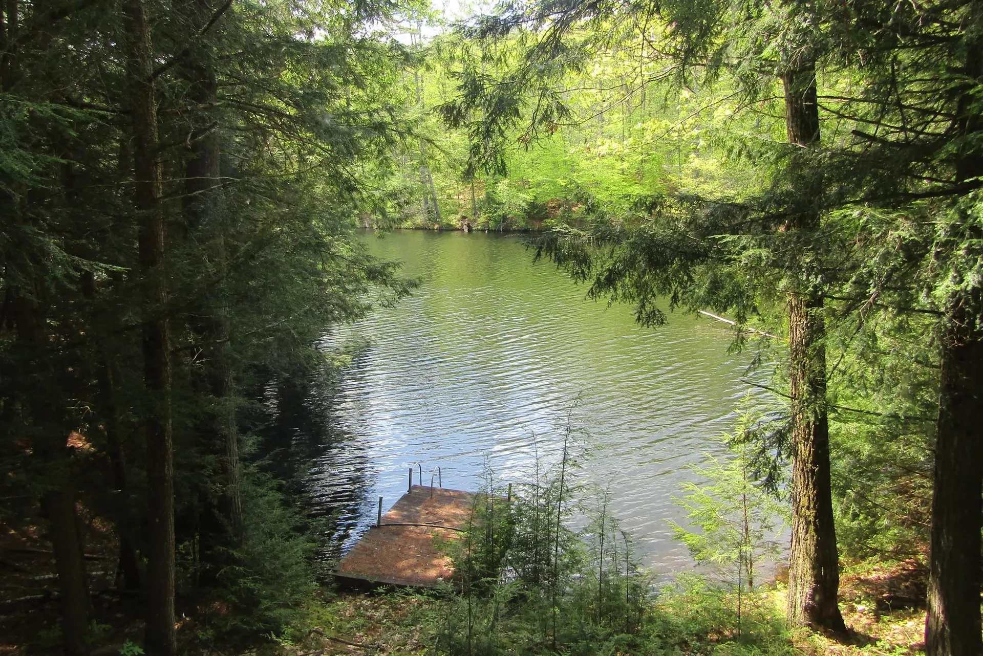 80 Blackberry Drive Lyman NH 03585