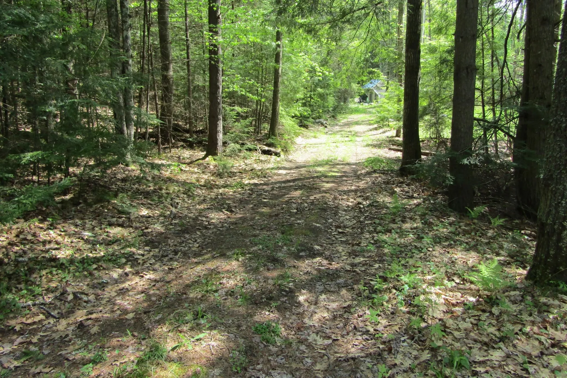 80 Blackberry Drive Lyman NH 03585
