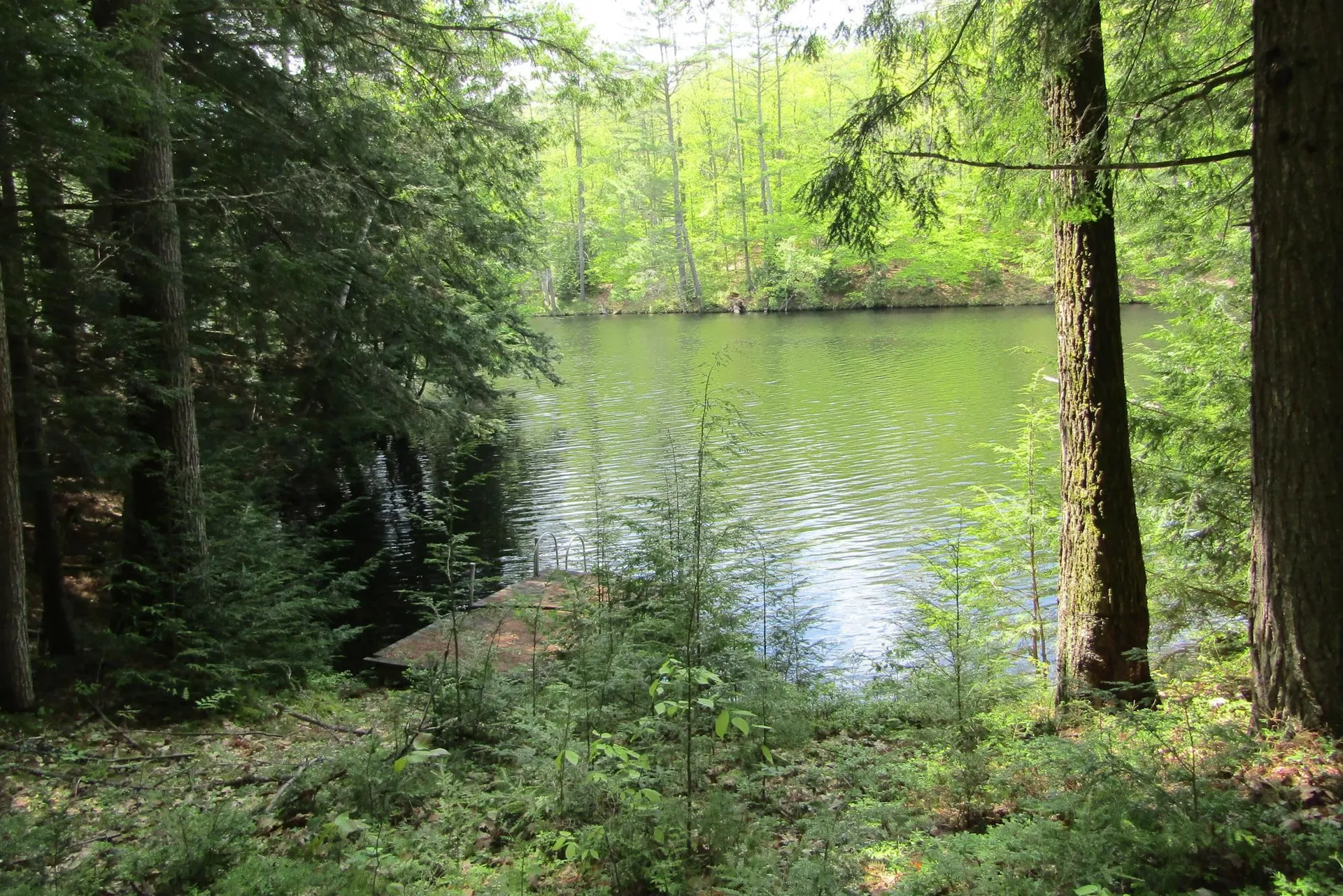 80 Blackberry Drive Lyman NH 03585