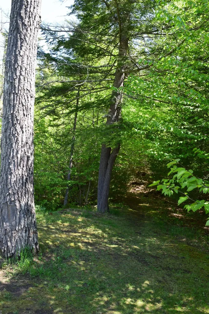 58 Stone Ledge Road Littleton NH 03561