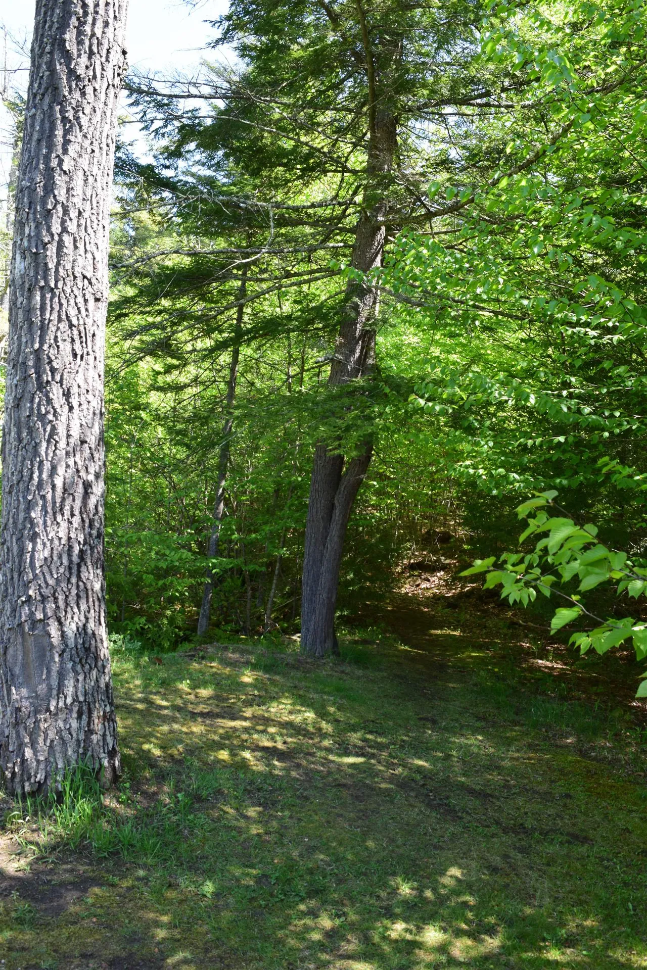 58 Stone Ledge Road Littleton NH 03561