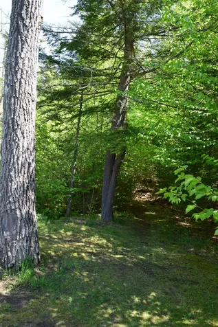 58 Stone Ledge Road Littleton NH 03561
