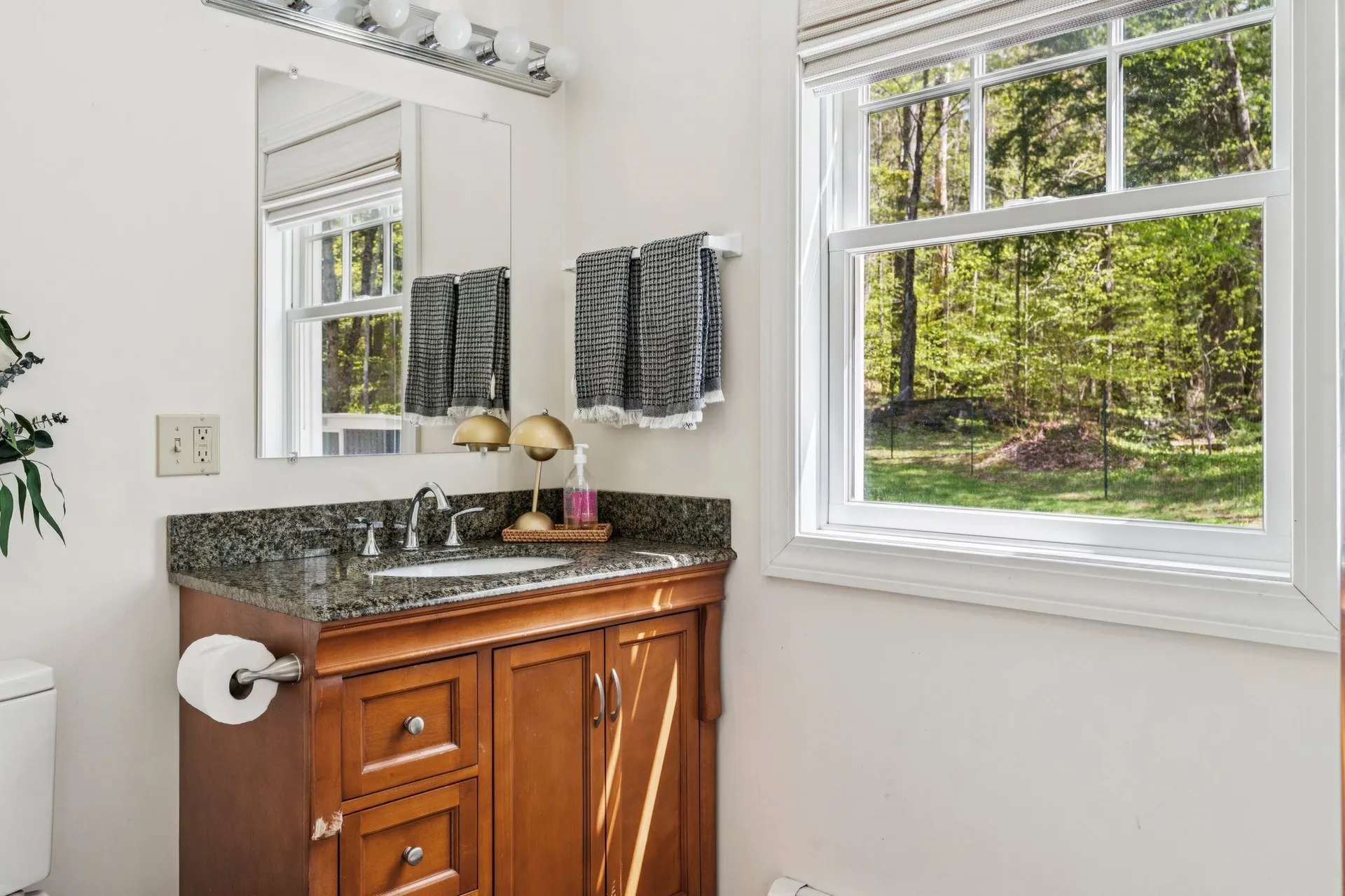 66 Hollow Farm Road Woodstock VT 05091