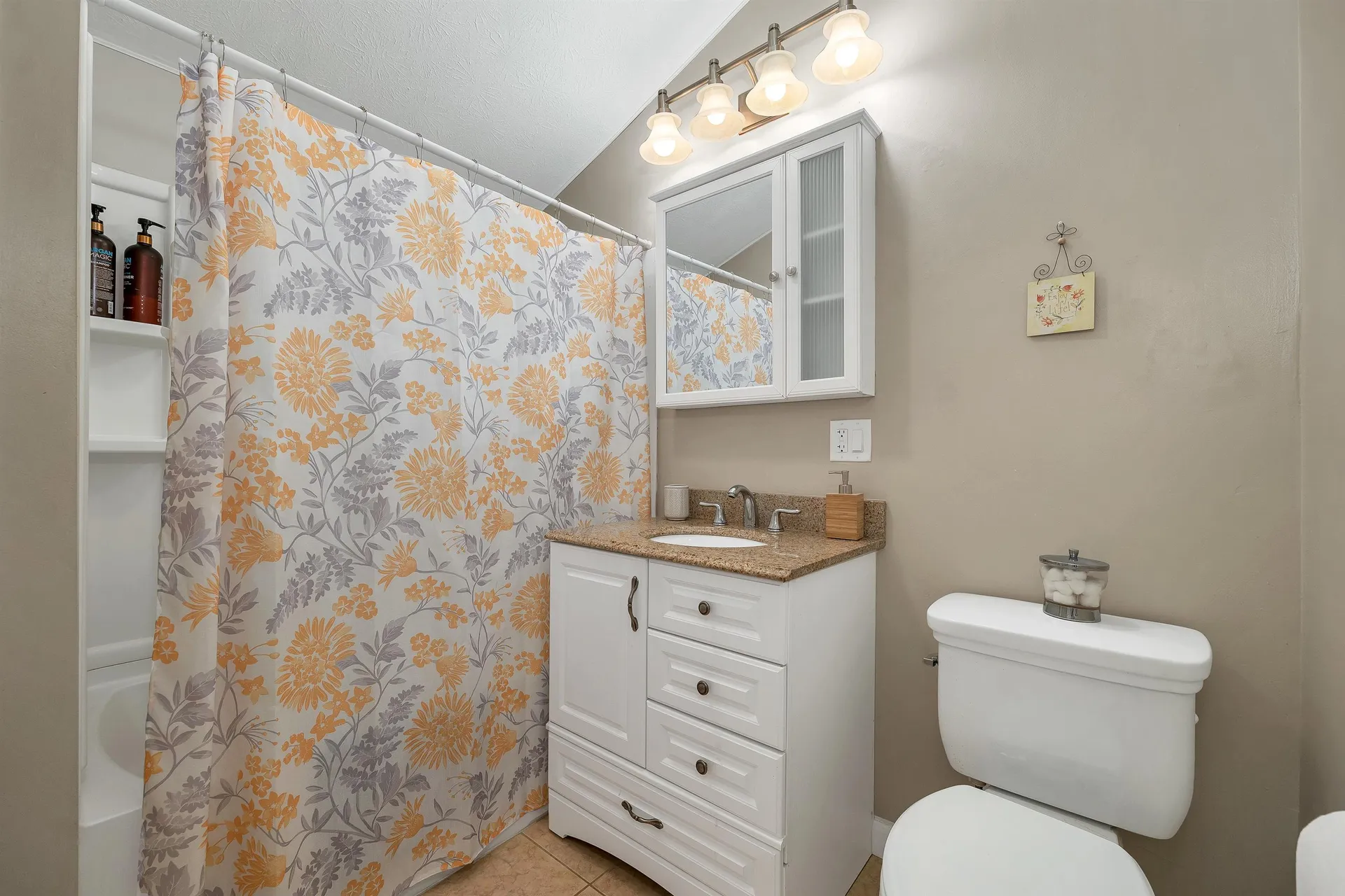 419 North Desmond Drive Wakefield NH 03830