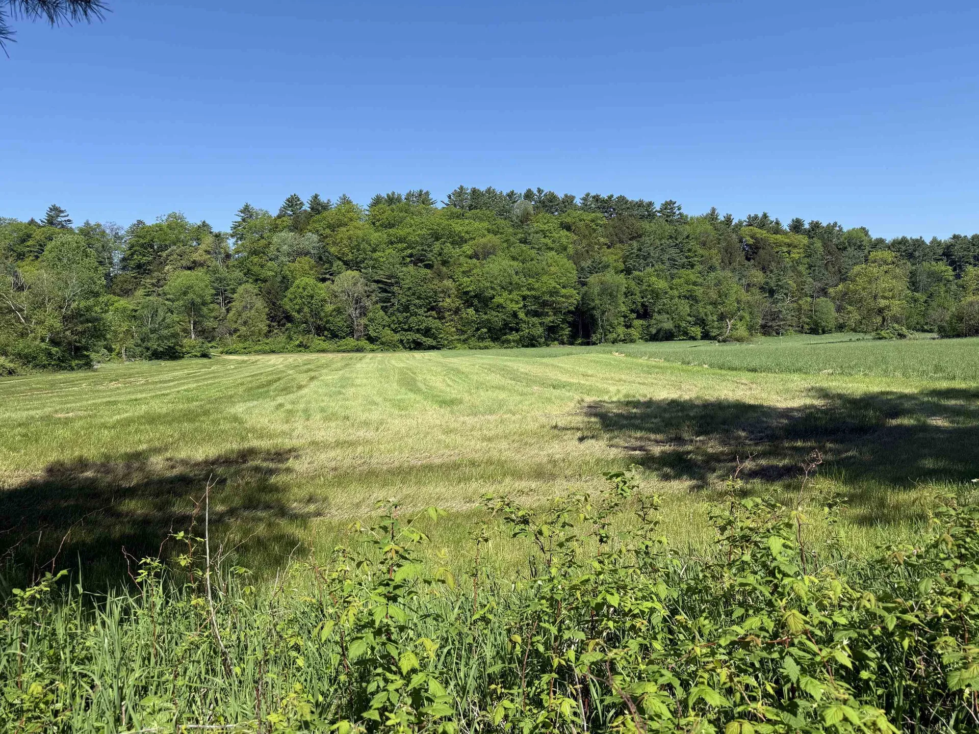 1857 Route 5 Fairlee VT 05045