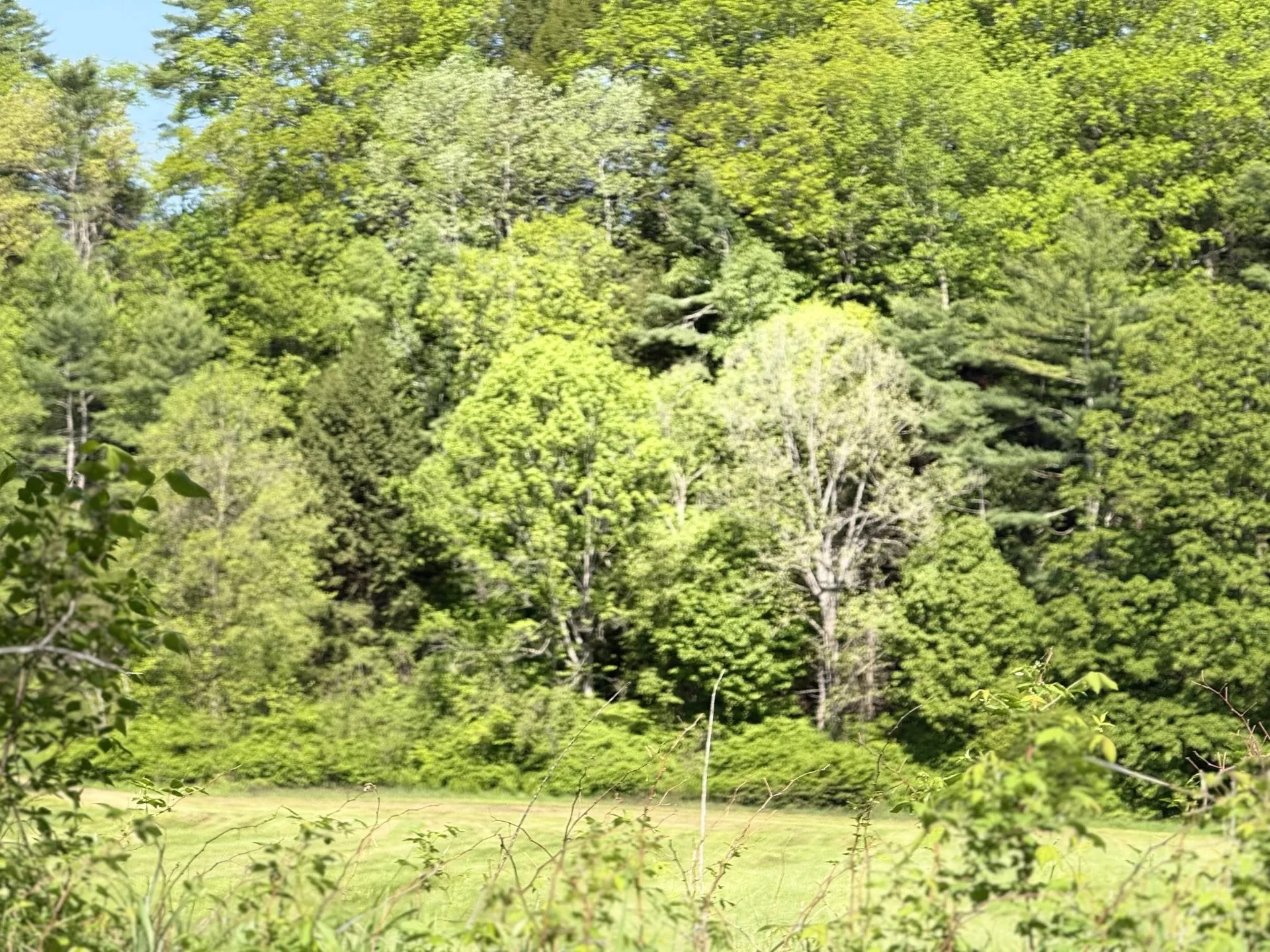 1857 Route 5 Fairlee VT 05045
