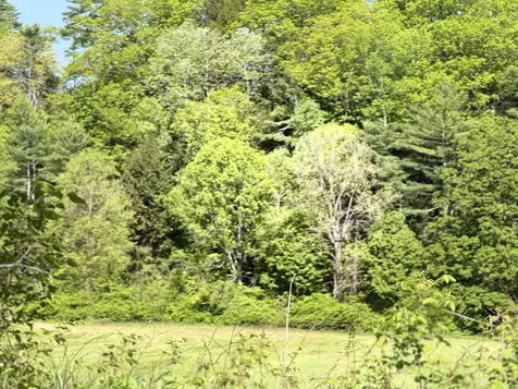 1857 Route 5 Fairlee VT 05045