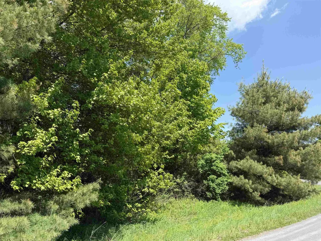 21 Dinky Lane Morristown VT 05661