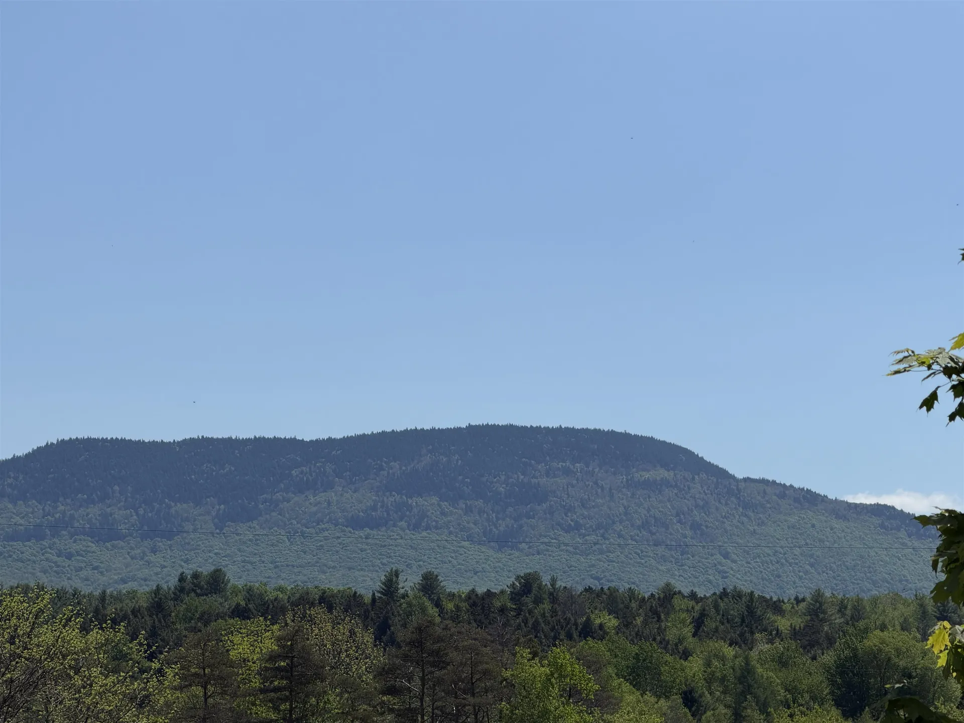 21 Dinky Lane Morristown VT 05661