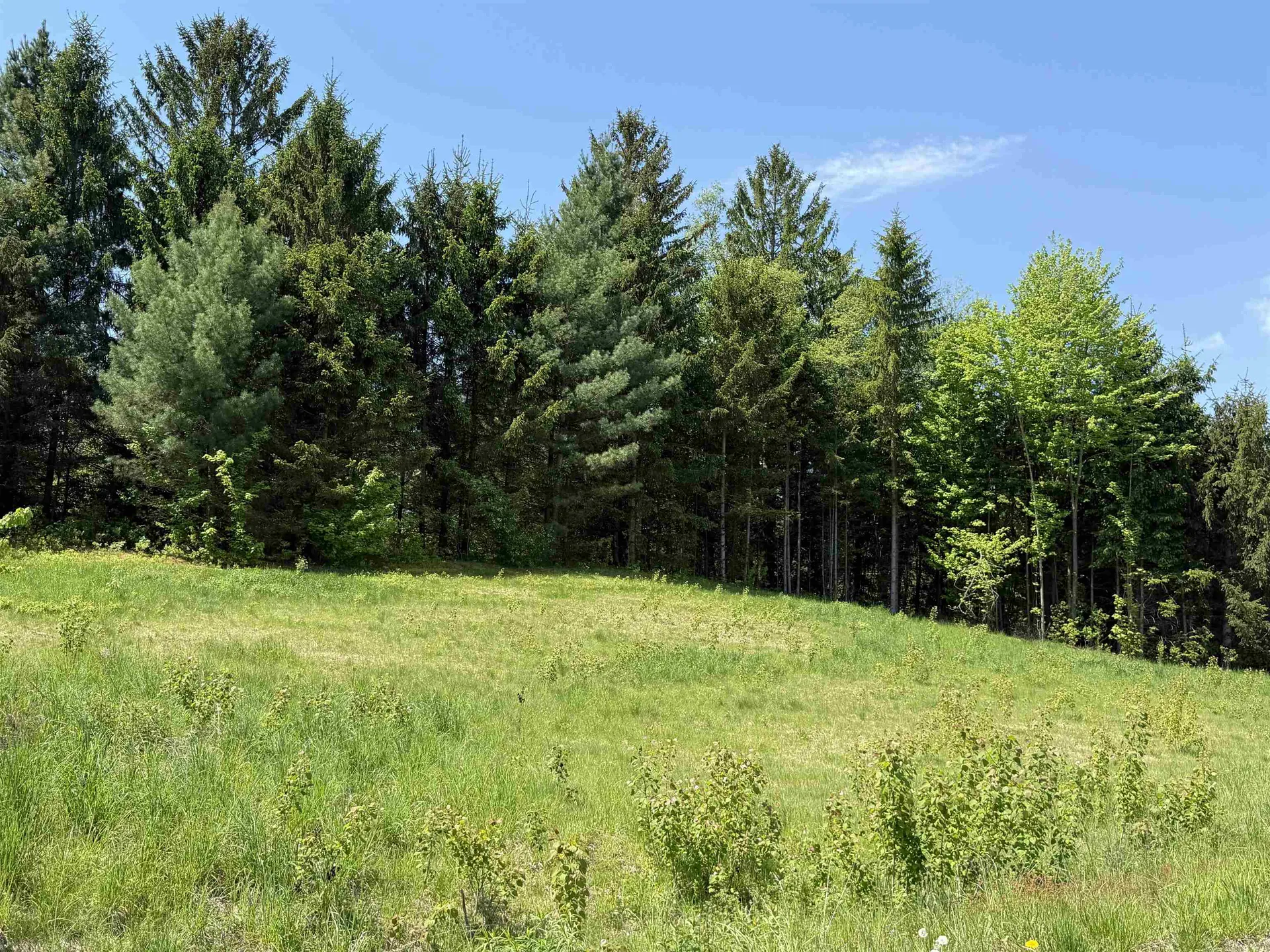 21 Dinky Lane Morristown VT 05661