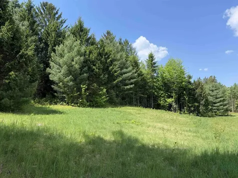 21 Dinky Lane Morristown VT 05661