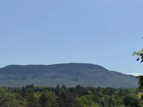 21 Dinky Lane Morristown VT 05661