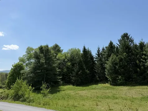 21 Dinky Lane Morristown VT 05661
