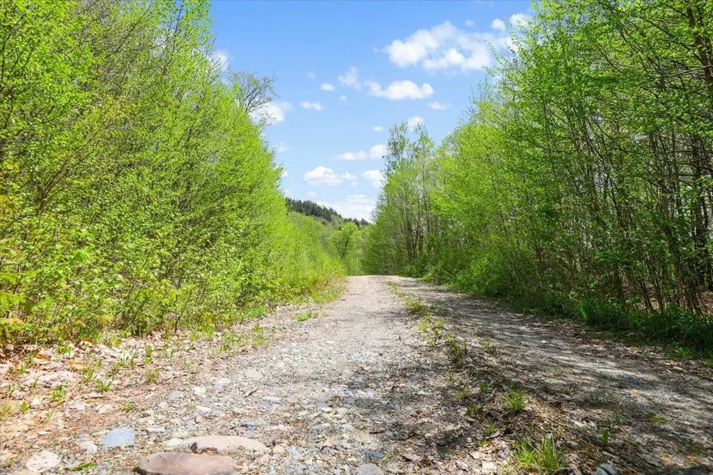 0 Mud Pond Pass Granby VT 05840