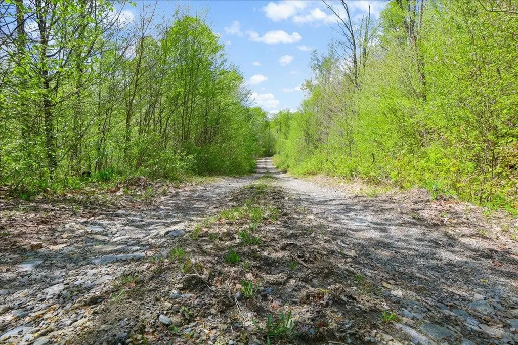 0 Mud Pond Pass Granby VT 05840