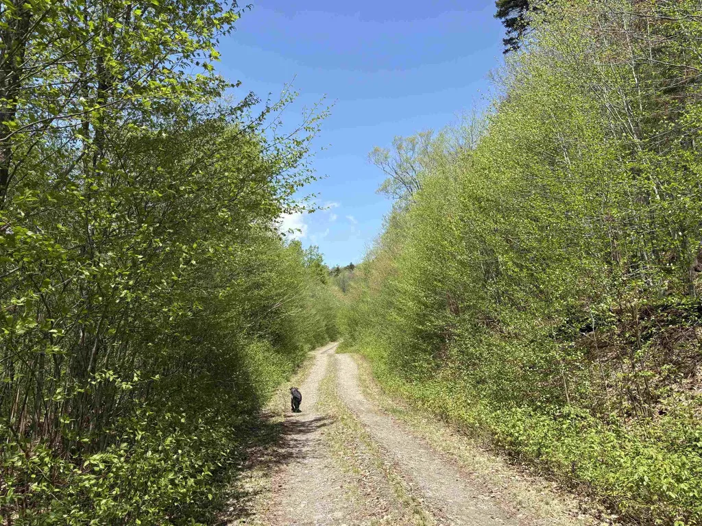 0 Mud Pond Pass Granby VT 05840