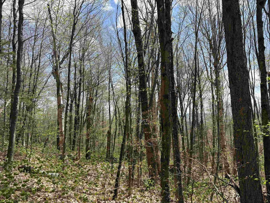 0 Mud Pond Pass Granby VT 05840