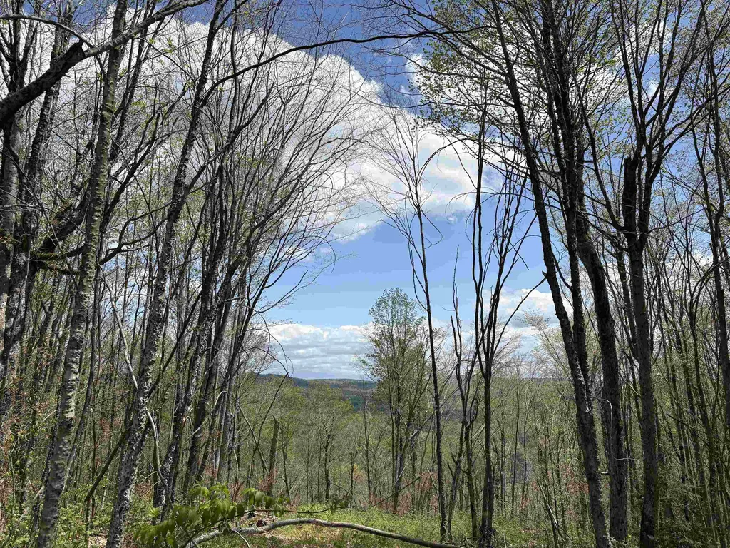 0 Mud Pond Pass Granby VT 05840