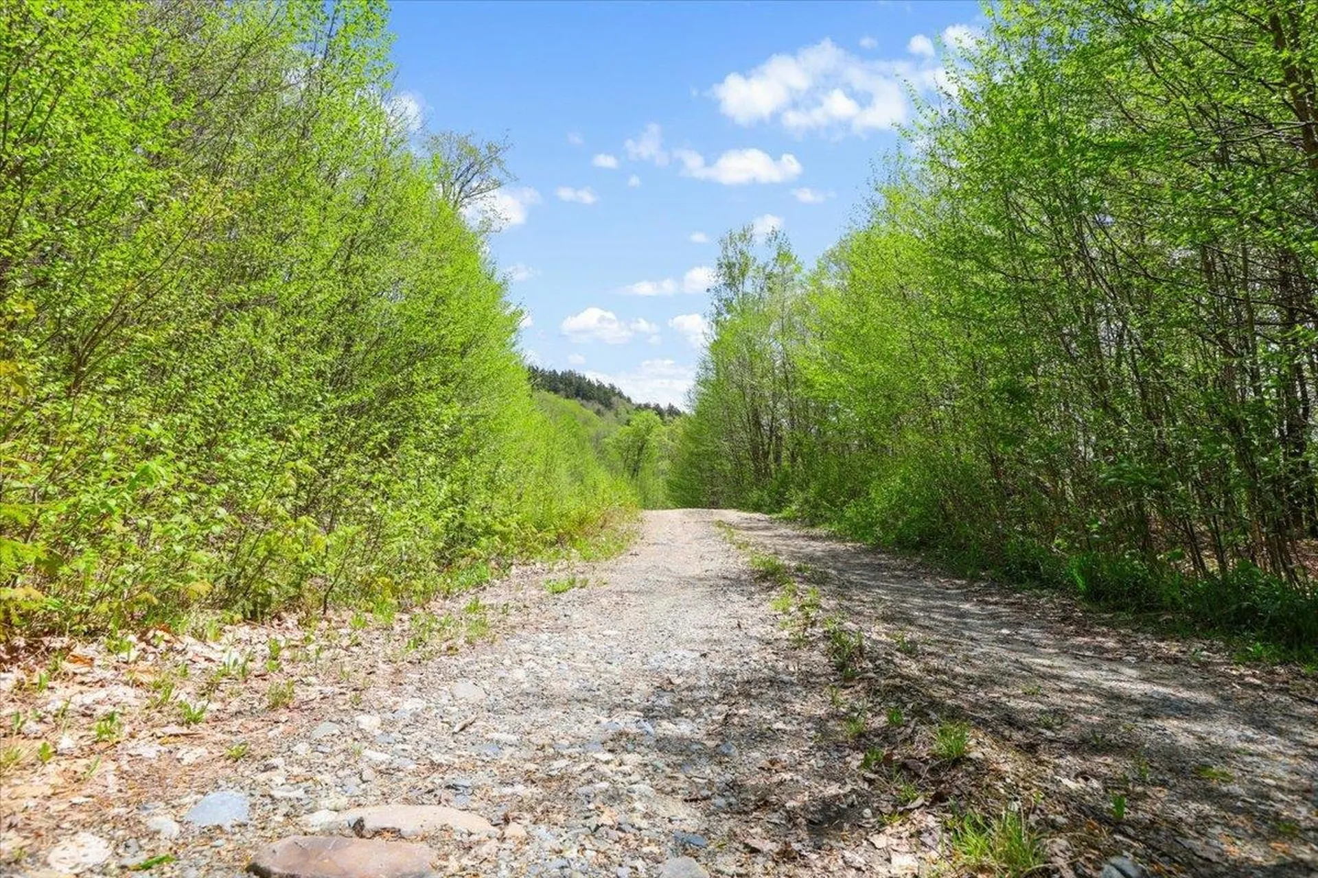 0 Mud Pond Pass Granby VT 05840