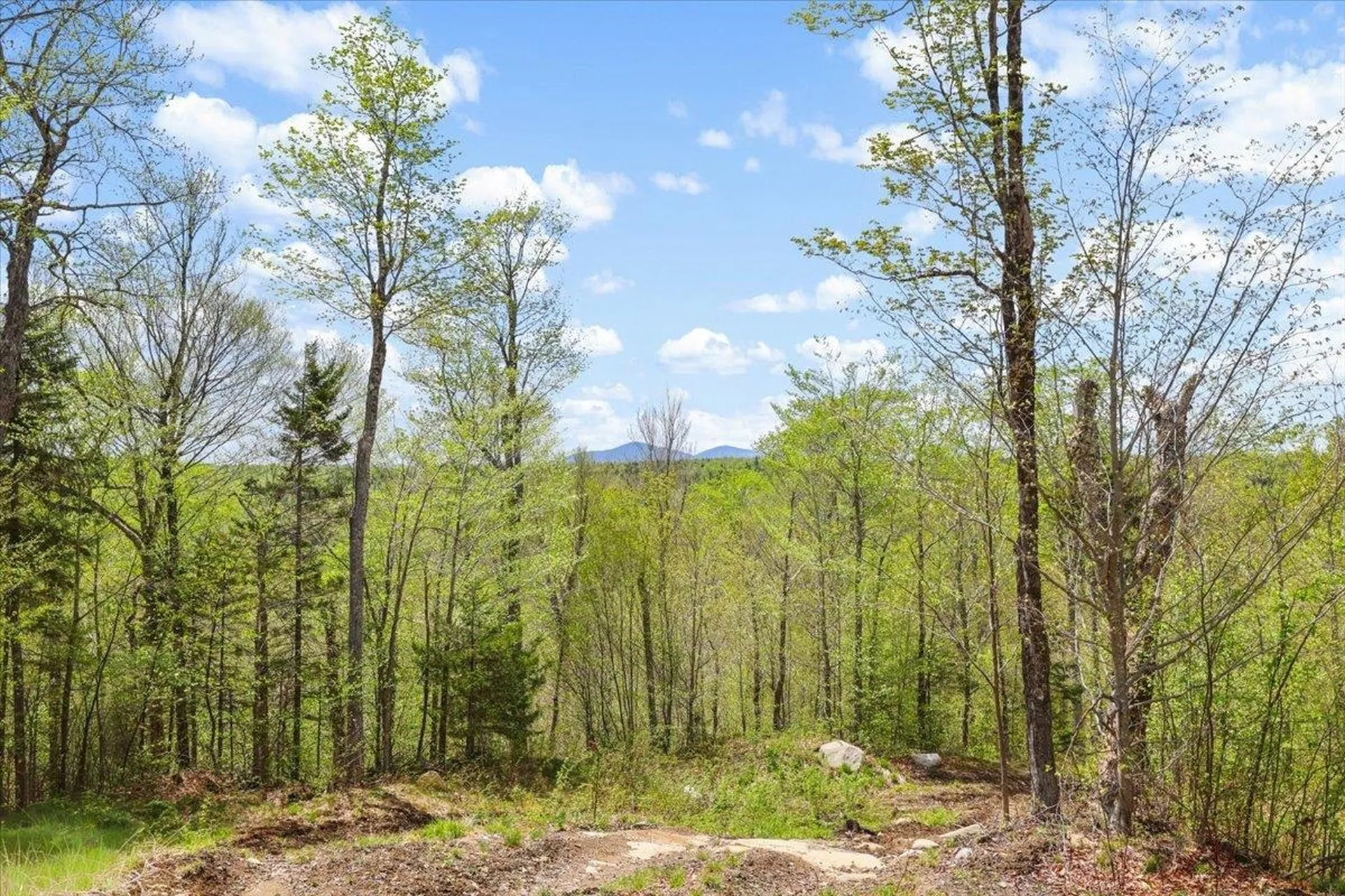 0 Mud Pond Pass Granby VT 05840