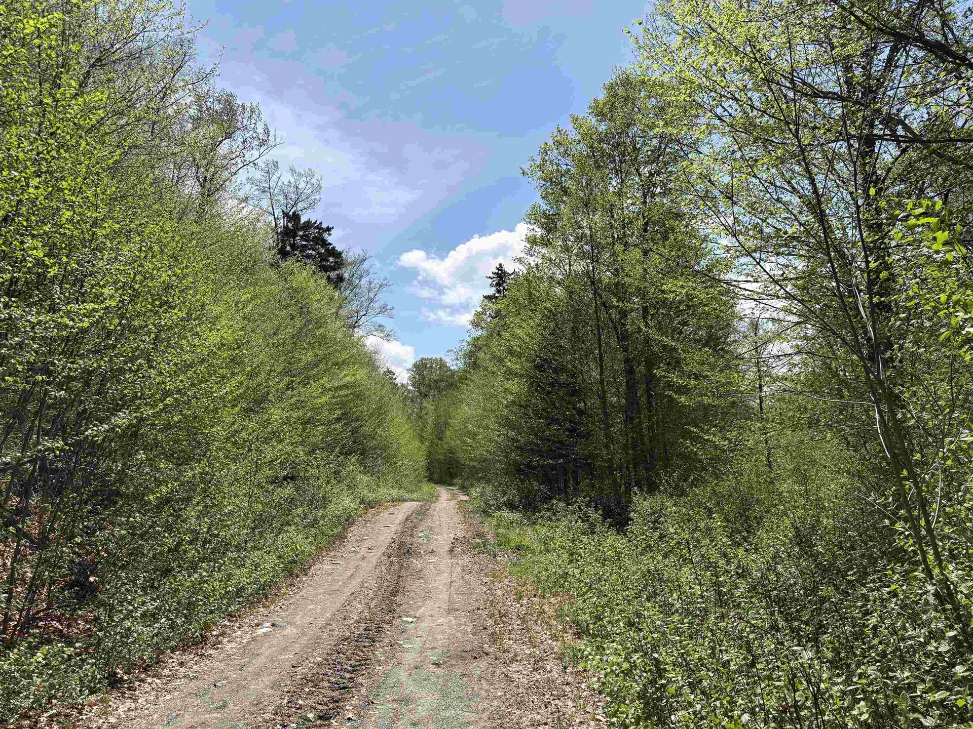 0 Mud Pond Pass Granby VT 05840