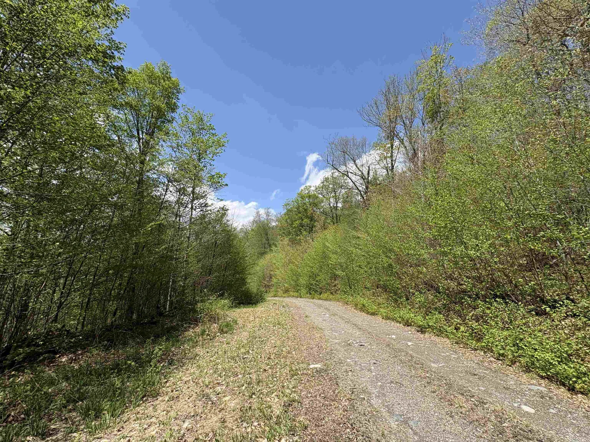 0 Mud Pond Pass Granby VT 05840