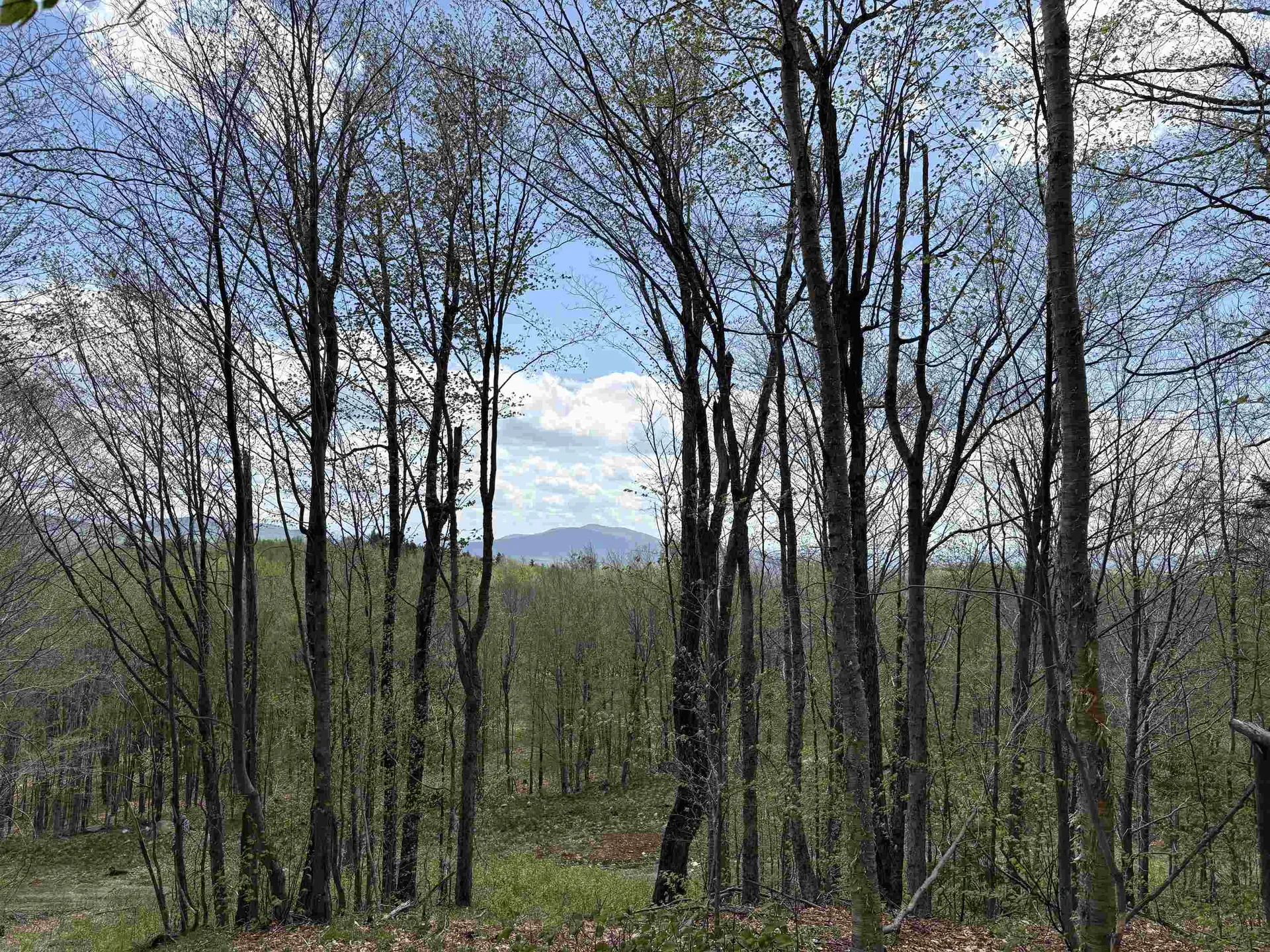0 Mud Pond Pass Granby VT 05840