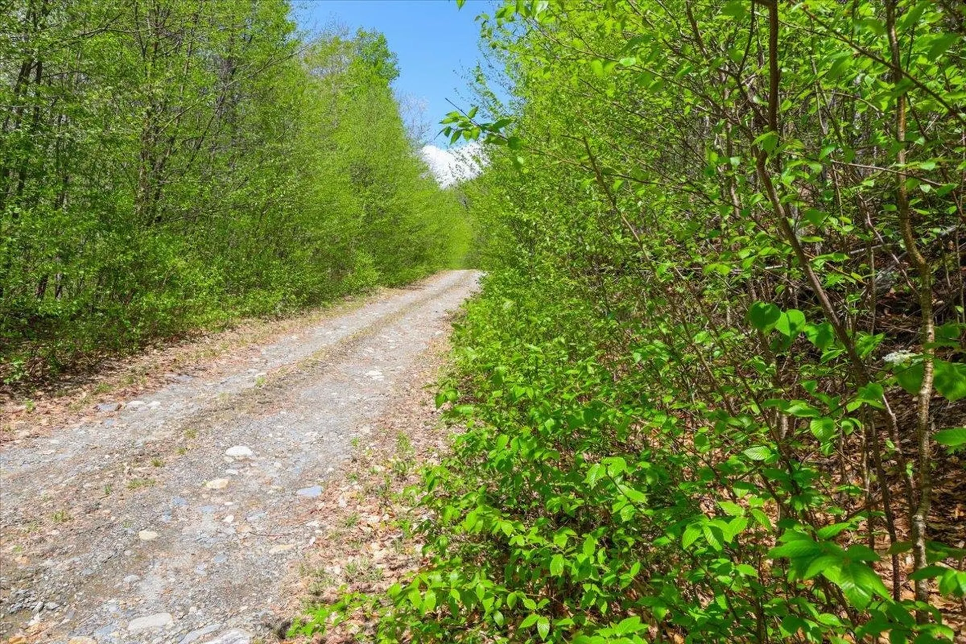 0 Mud Pond Pass Granby VT 05840