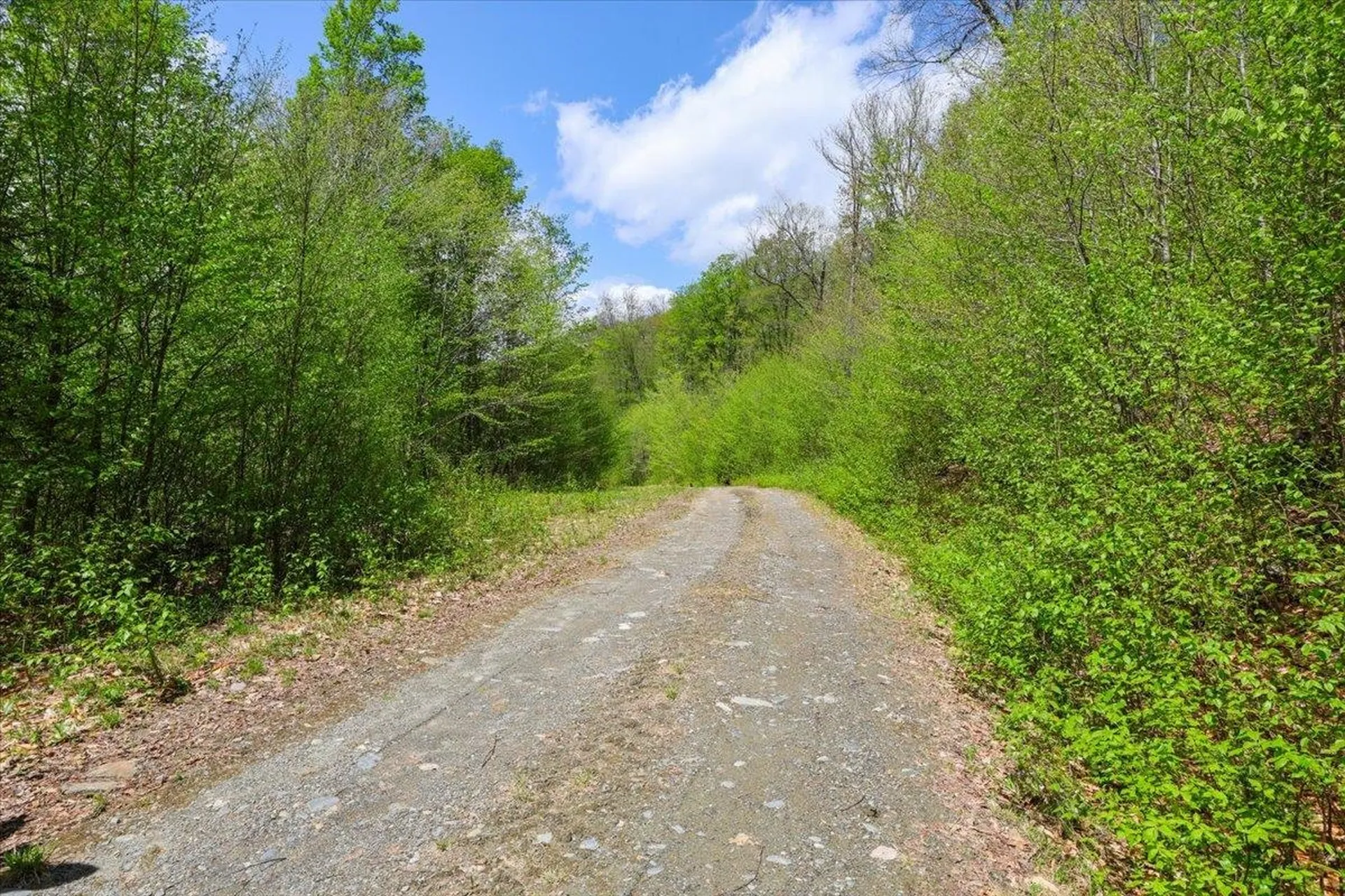0 Mud Pond Pass Granby VT 05840