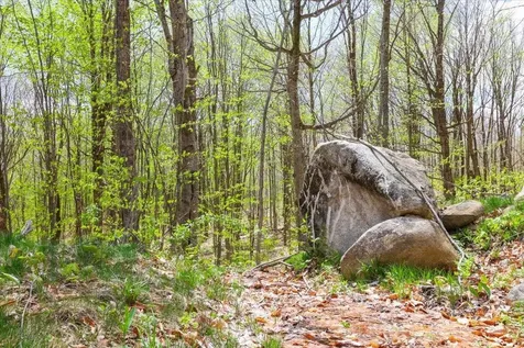 0 Mud Pond Pass Granby VT 05840