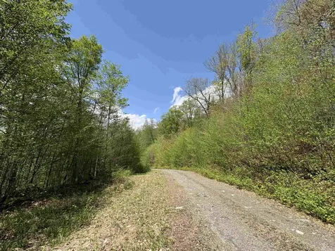 0 Mud Pond Pass Granby VT 05840