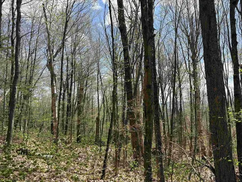 0 Mud Pond Pass Granby VT 05840