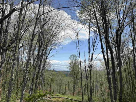 0 Mud Pond Pass Granby VT 05840