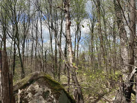 0 Mud Pond Pass Granby VT 05840