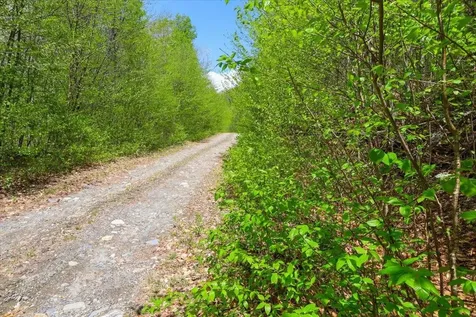 0 Mud Pond Pass Granby VT 05840