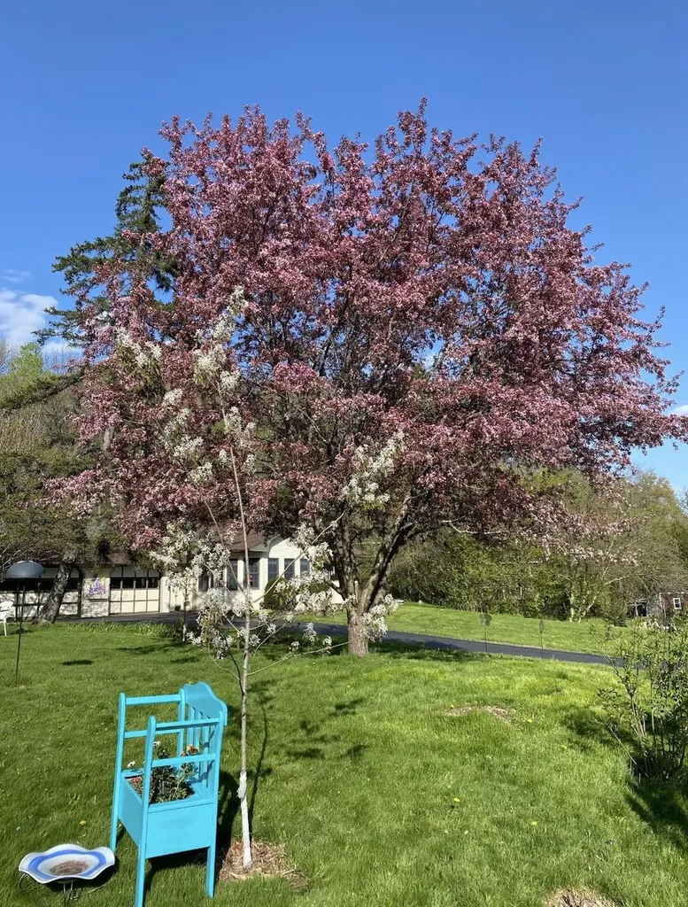 3 Gaylord Drive Montpelier VT 05602