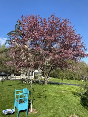 3 Gaylord Drive Montpelier VT 05602