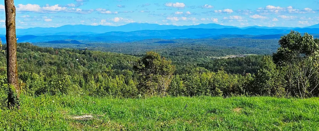 600 Davidson Drive Walden VT 05873